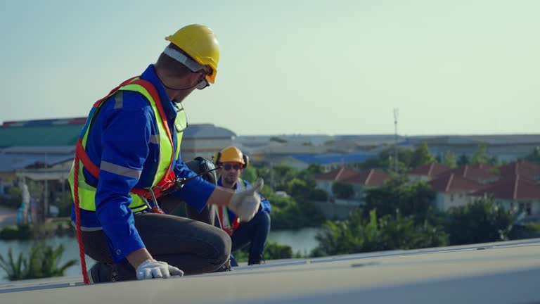 Best Roof Insulation Installation  in Merian, ID